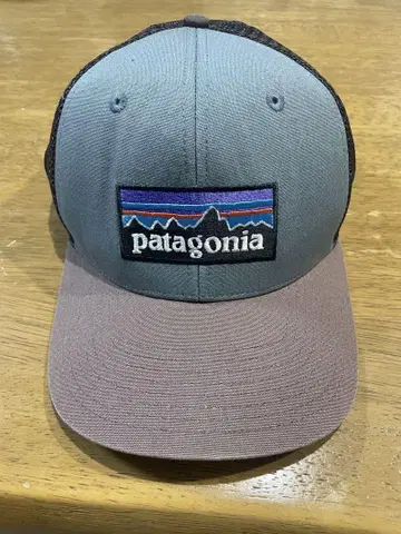 patagonia 트래커 햇 그레이/브라운