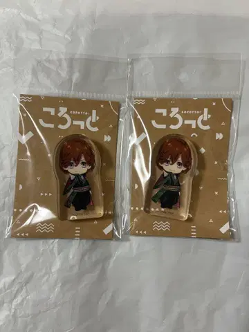 타브나이 코롯토 레이지 솔로