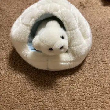 흰 곰 이글루 세트