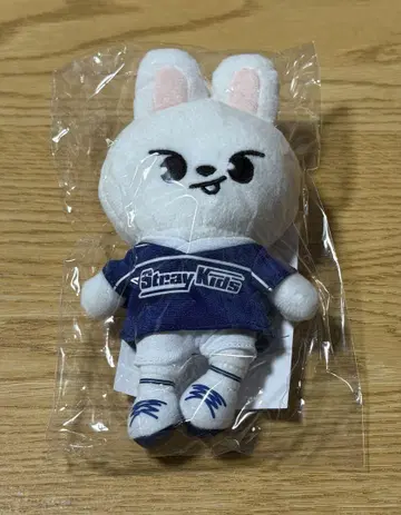 [미사용 새상품] 스키즈 리빗 백참
