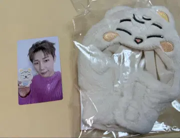 infinite 성규 팝업 응원봉 커버와 트레이딩 카드