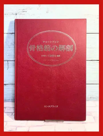 차트북 골격근 해부
