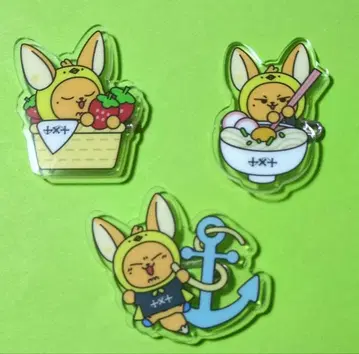 TXT 뿔바투 지역 배지 판춘