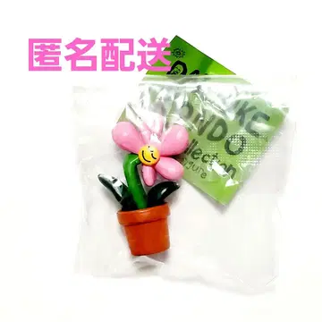 DAISUKE KONDO 꽃 플라워 hana