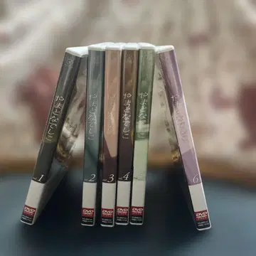 야마토 나데시코 DVD 전 6권 세트 일본 국내 셀판 정품
