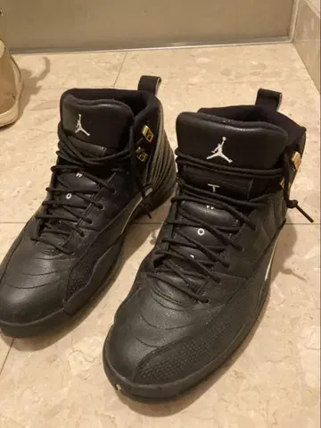 Air Jordan 12 The Master