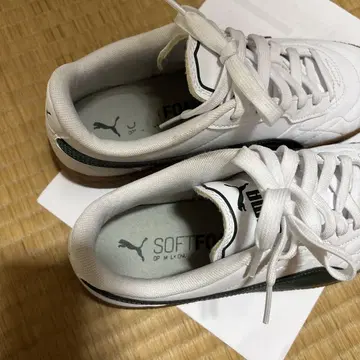 PUMA SOFTFOAM 신발 9 (US) 화이트/그린