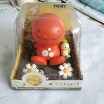 생활양 노호혼족 히다마리 민족 석양색