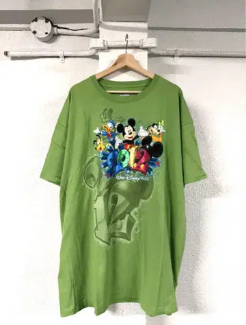 US used 2012 Disney World T-shirt