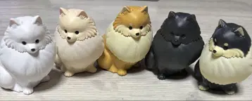 빛나는 목걸이를 한 산책 포메라라이트, 총 5종