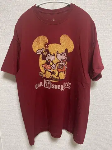 [USA 제작] Walt Disney World 미키 미니 XL