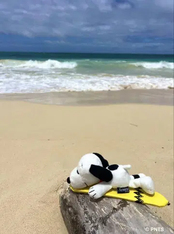 SNOOPY's SURF SHOP 라스트원 키링 HSNP-22008