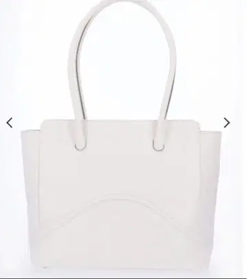 피에르 가르뎅(pierre cardin) 버그 핸드백