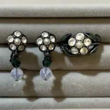 ANNA SUI 안나수이 귀찌&반지