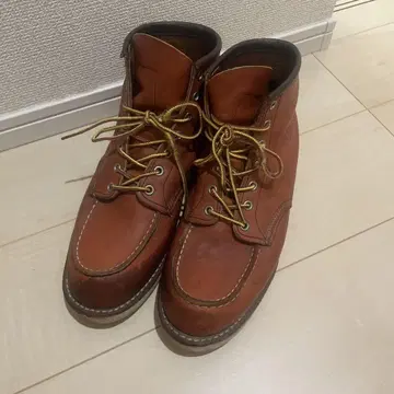 레드윙 아이리쉬 세터 8875