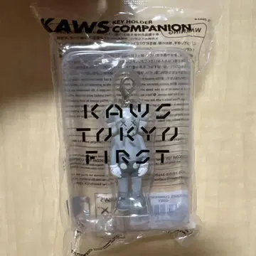 [새 상품] KAWS Companion Gray 키링