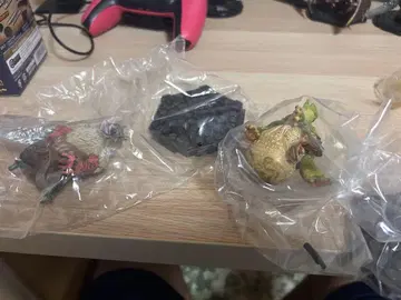 CAPCOM 몬스터 헌터 스탠다드 모델 피규어