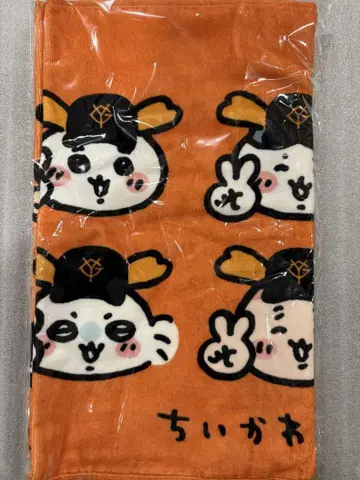 치이카와 요미우리 자이언츠