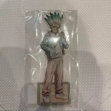 Dr. STONE 이시가미 센쿠 아크릴 스탠드 센쿠 돌스톤 카페