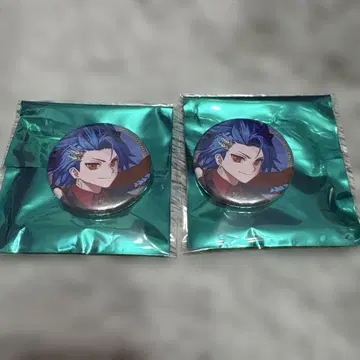 fgo 페스티벌 캔뱃지 세탄타