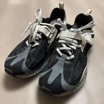 IK102 Reebok ZIG KINETICA IAN PALEY 27.5
