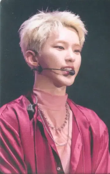 SEVENTEEN DVD 호시 2022 HANABI