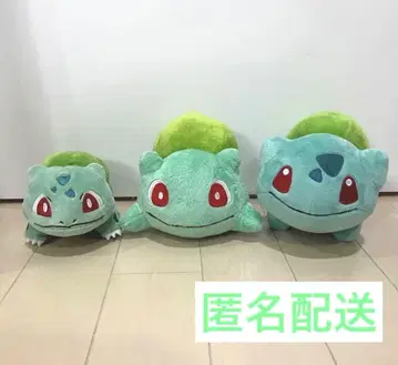 [새상품급] 이상해씨 봉제 인형 포켓몬 센터 한정판 [3점 묶음 판매]