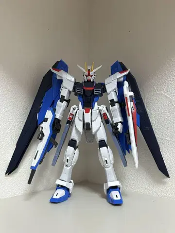RG 1/144 프리덤 건담