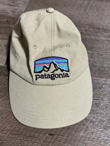 patagonia 베이지 캡