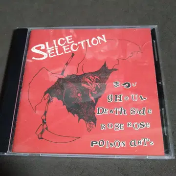 SLICE SELECTION