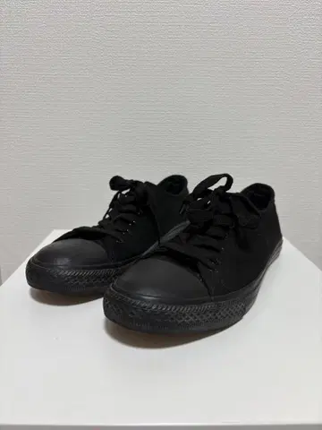 Ground Y 캔버스 로우컷 스니커즈 28cm