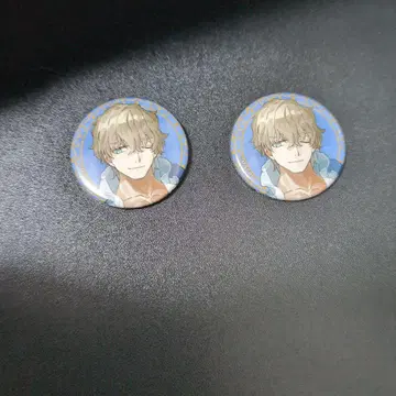 FGO 페스티벌 캔뱃지 가웨인