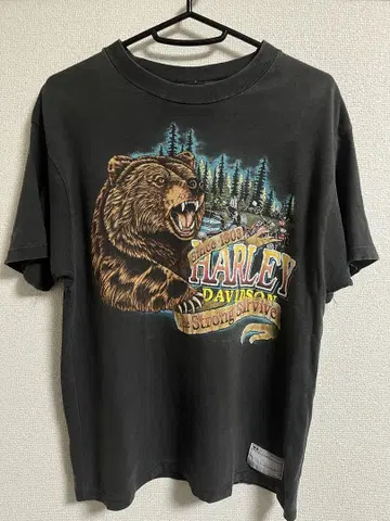 레어 Harley Davidson 할리데이비슨 곰 T셔츠