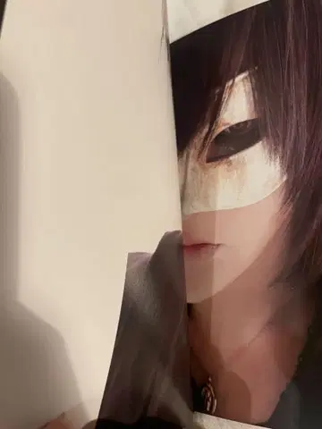 Plastic tree 투어 팜플렛