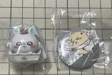 치이카와 쿠라스시 콜라보