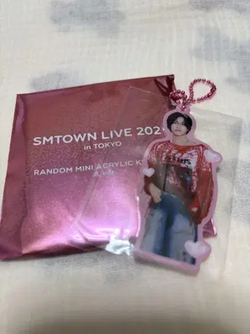 SMTOWN LIVE 2025 미니 아크릴 키링 원빈