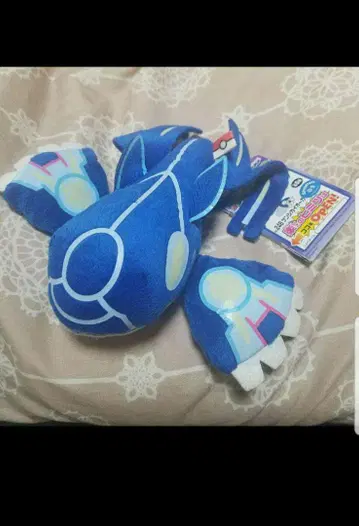 원시 가이오가 봉제 인형 포켓몬 MY 포켓몬 컬렉션
