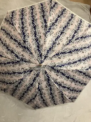 CARVEN 접이식 우산 (비)