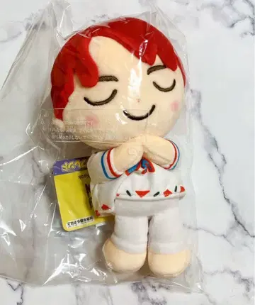 TinyTAN 쿨쿨 프렌즈 봉제 인형 S Jung Kook