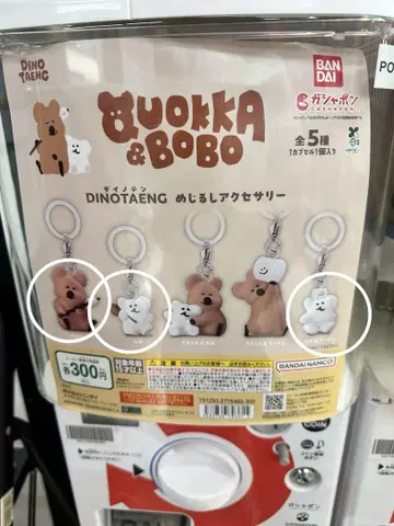 QUOKKA&BOBO
