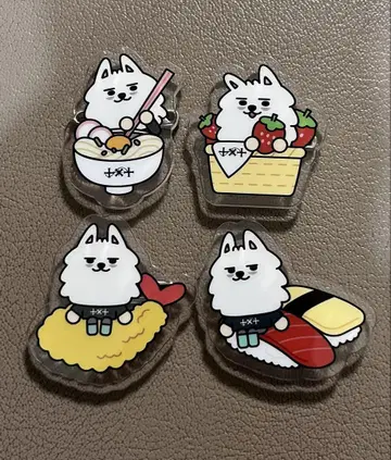 TXT 뿔바투 지역 한정 아크릴 배지 용몽 수빈