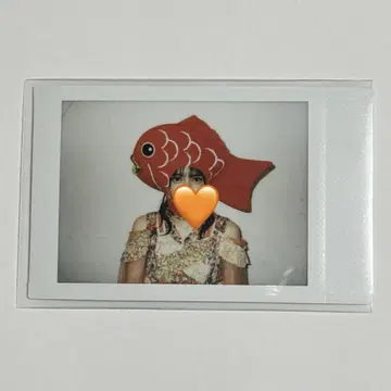 FRUITS ZIPPER 진제이 스즈카 폴라로이드