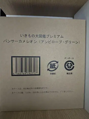 생물대도감 프리미엄 팬서 카멜레온 암빌로브 그린