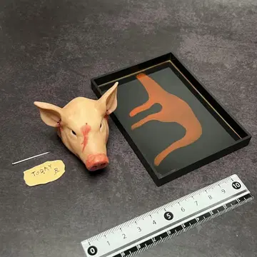 1/6 돼지 머리