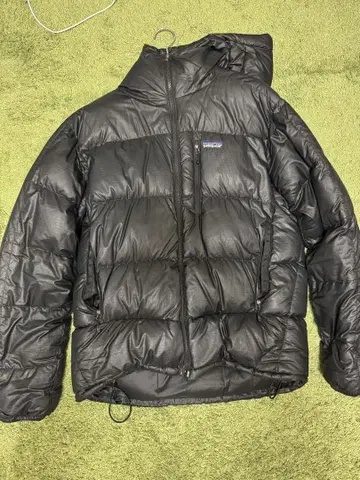 Patagonia 피츠로이 다운 후디