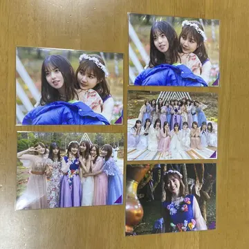 전 노기자카46 이쿠타 에리카 브로마이드 30 세트