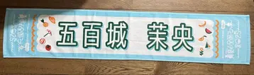 이오키 마오 개별 머플러 타월 한여름의 전국 투어 2025
