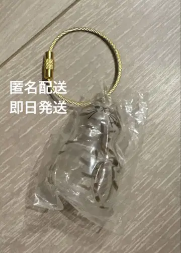 우리 아이의 털뭉치 키지토라