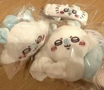 치이카와 모몽가 묶음 판매
