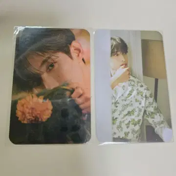 세븐틴 도겸 your choice